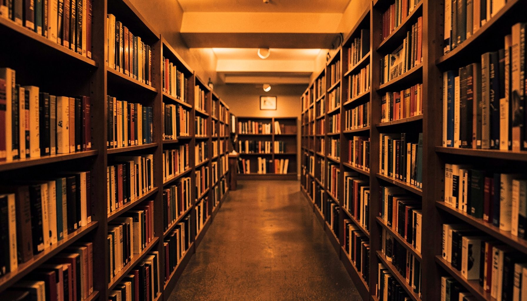 Rows of bookshelves filled with colorful spines, warm amber and deep brown tones, quiet library atmosphere